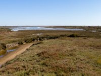 Wedlands : Europa, Nat. park Donana, Reisen, Spanje, europa